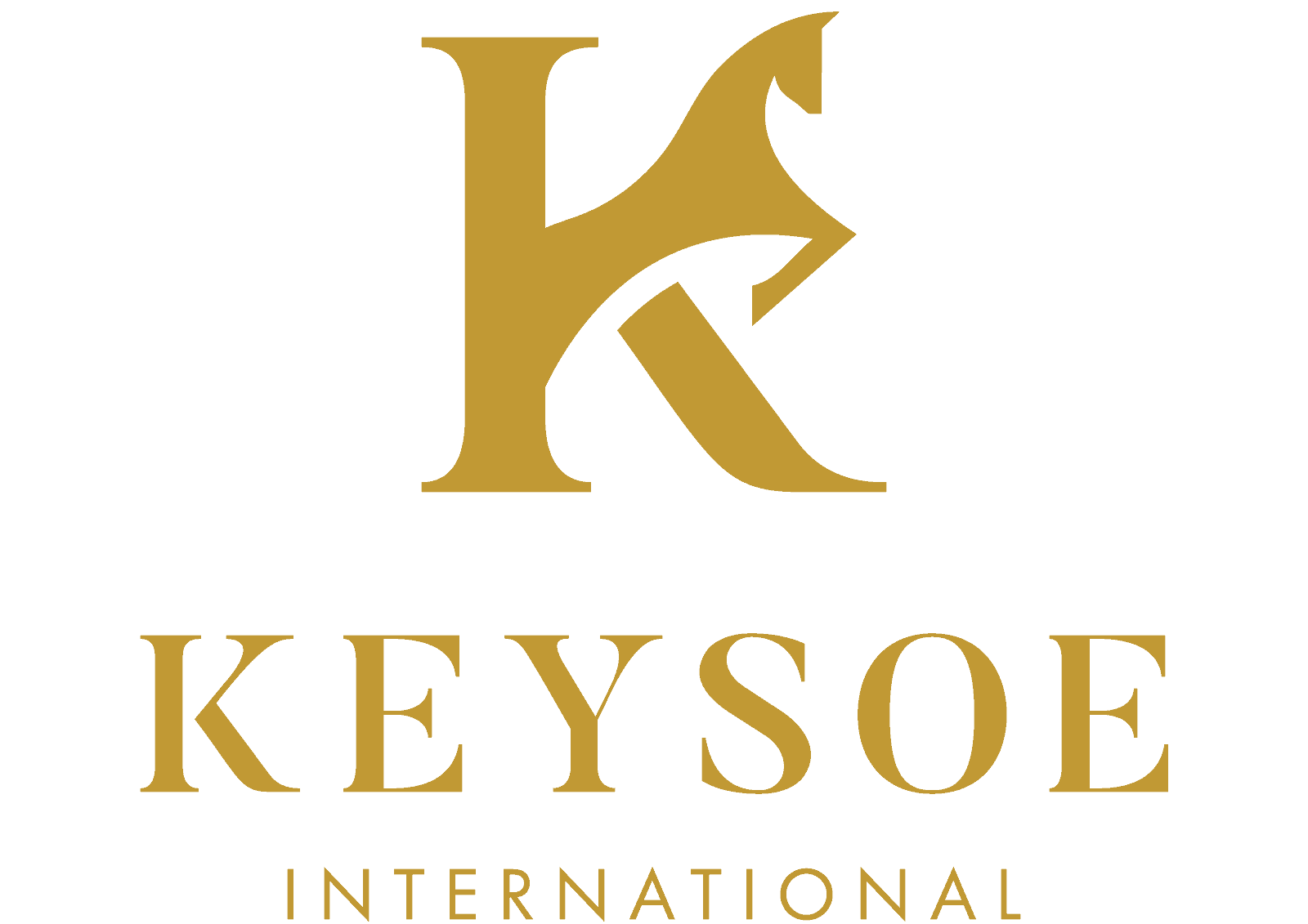 Milton Keynes Photographer 13 Keysoe International Logo